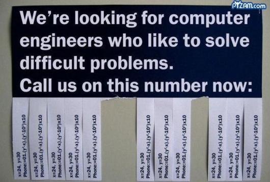 Need Programmers