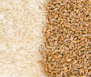 10 Essential Commodities that Registered a Price Hike