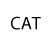 CAT online  course