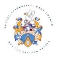Brunel University - UK