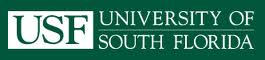 University of South Florida - USA