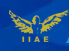 Indian Institute of Aircraft Engineering (IIAE), New Delhi (Delhi)