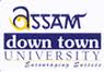 Down Town University