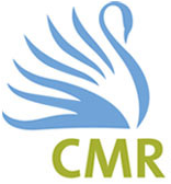 CMR Institute of Technology, Bangalore 