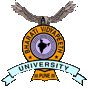 BVU - Bharati Vidyapeeth University, Pune