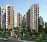 Olympia Grande-Pallavaram