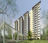 salarpuria Sattva necklace pride