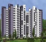 Chrysanthemum-Thanisandra Main Road