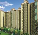 Trident Embassy - Noida Extension 
