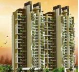  The Coralwood-Sector-84 Gurgaon