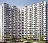 Cosmos Classique-Patlipada