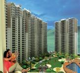  Ace city by ACE Builders