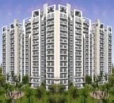 Tulip White-Sector-69 Gurgaon