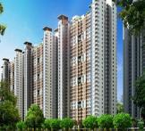 Victory Ace-Sector-143 Noida  