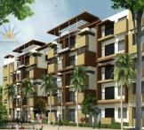 Raja Goldfields - Hoodi, 