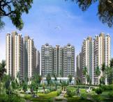 Apple Orchid by ABCZ Builders. Pvt. Ltd-Noida Extension 