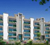 Amrapali Terrace Homes-G.Noida