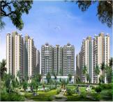  Earth Gracia Sector-1, Greater Noida West