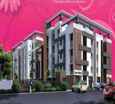 Elegants Pinnacle Semmenchery-Semmenchery