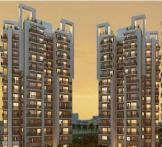 1000 Trees by Geoworks-Sector-105 Gurgaon