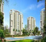  Palm Gardens-Sector-83 Gurgaon 