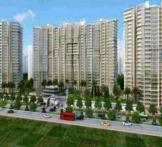 Gayatri Life- Noida Extension