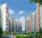 Amrapali Spring Meadows-Noida Extension