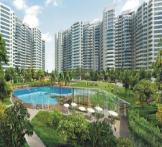 Ajnara Daffodil by Ajnara Group-Sector-137 Noida 