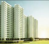 Godrej Palm Grove-Sriperumbudur