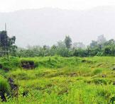 Expat Green Meadows-Bavla