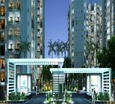 Sethi Group Max Royal