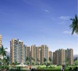  Amrapali Terrace Homes- Noida Extension