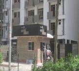 Cosmos Golden Heights 