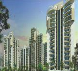 Victory Crossroads-Sector-143 Noida 