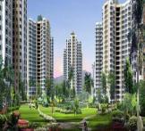  Palm Olmpia-Noida Extension