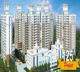 Golden Opulence -Poonamallee High Road