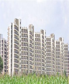 Dwarkadhis New Residential Projects