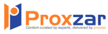 Proxzar: Delivering Uniqueness with Scalable Budget Friendly Chatbots
