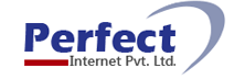 Perfect Internet: Delivering Cost-effective & High Speed Internet Access Services
