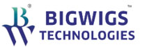 Bigwigs Technologies: Customer Centric Flexible Servicing That Facilitates Advancement