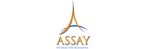 ASSAY Clinical Research: Developing Tailor-made Software Solutions & Tools with Nonpareil Quality & Efficiency