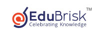 Edubrisk: Reshaping the EdTech Sector with its Ingenuity