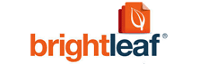 Brightleaf Solutions: Semantic Data Extraction From Legacy Contracts  