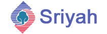 Sriyah Insurance Brokers: Unparalleled Insurance Broking Services