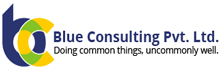 Blue Consulting: Accounting Outsourcing Services that Account to Growth