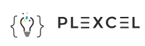 Plexcel Info Systems: Where Professionals Pursue their Passion