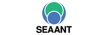 SEAANT: Designing Digital Ideas for Product Companies  