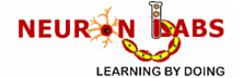 Neuron Labs:  The Abode of Learning and Fun