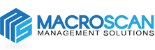Macroscan Management Solutions: Strategic Partner in IT Governance