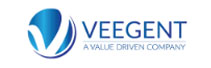 Veegent: Exhibiting Unparalleled Mastery in Cyber Security Solutions